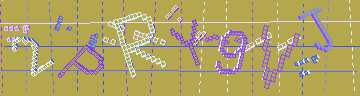 確認代碼