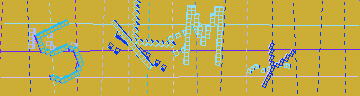 確認代碼