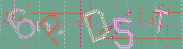 確認代碼