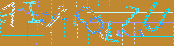 確認代碼