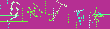 確認代碼