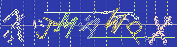 確認代碼