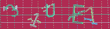 確認代碼