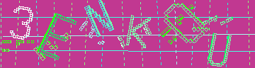確認代碼
