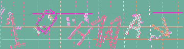 確認代碼