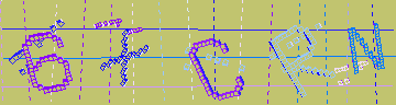 確認代碼