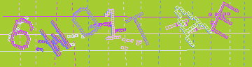 確認代碼