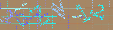 確認代碼
