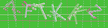 確認代碼