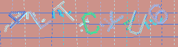確認代碼