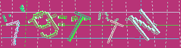 確認代碼