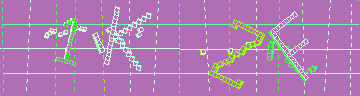 確認代碼