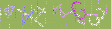 確認代碼