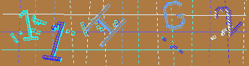確認代碼