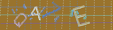 確認代碼