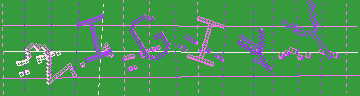 確認代碼