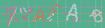 確認代碼