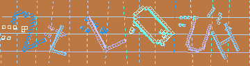 確認代碼