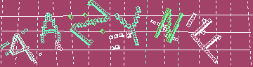 確認代碼