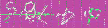 確認代碼
