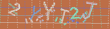 確認代碼