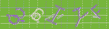 確認代碼