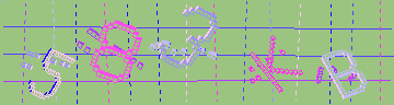 確認代碼