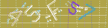 確認代碼