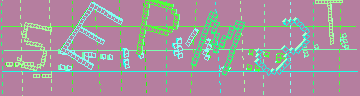 確認代碼