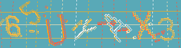 確認代碼