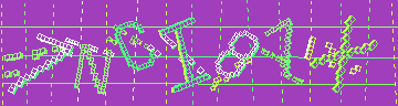 確認代碼
