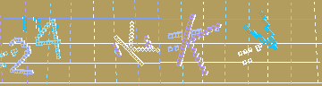 確認代碼