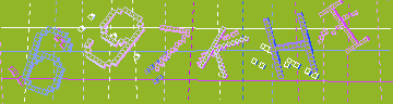 確認代碼