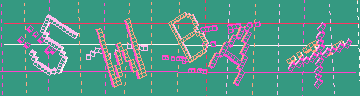 確認代碼