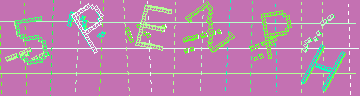 確認代碼
