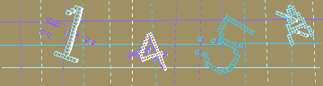 確認代碼