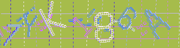 確認代碼
