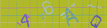確認代碼