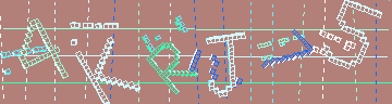 確認代碼