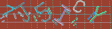 確認代碼