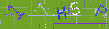 確認代碼