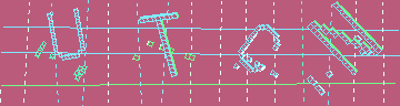 確認代碼