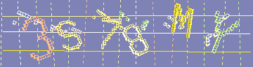 確認代碼