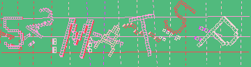 確認代碼