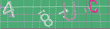 確認代碼