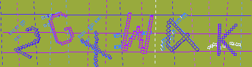 確認代碼