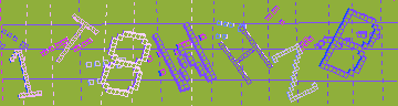 確認代碼