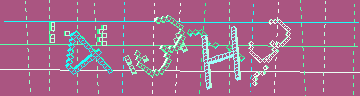確認代碼