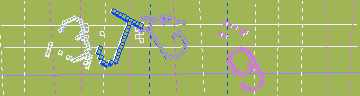確認代碼