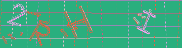 確認代碼